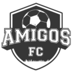 AMI FC